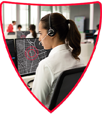 Icono acompañamiento Verisure